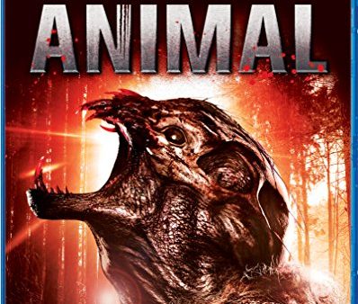 ANIMAL - BD [BLU-RAY] Online Hot Sale