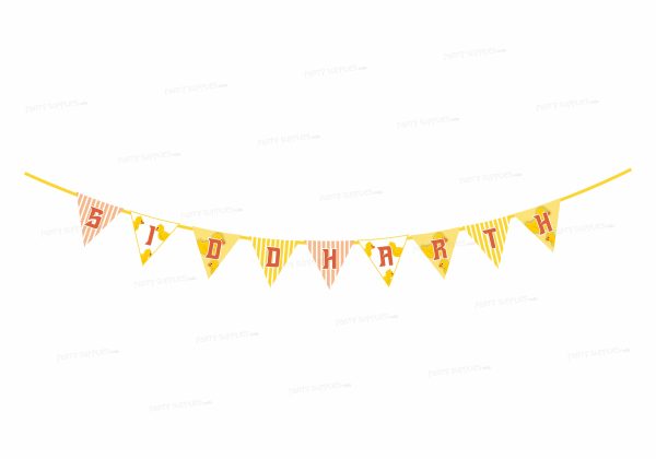 Duck Theme Boy Flag Hanging Supply